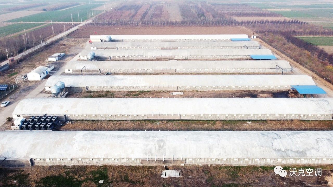 沃克空气能清洁冷暖案例巡礼6：潍坊昌邑李家井中粮肉鸡场供暖项目