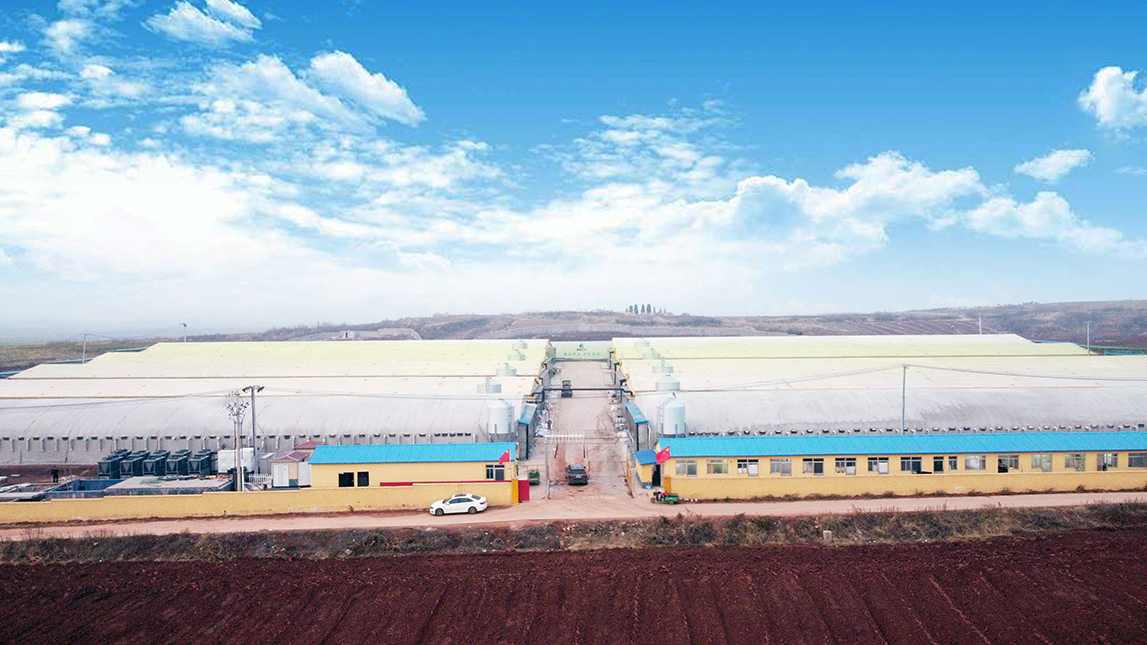 沃克空气能清洁冷暖案例8：潍坊诸城贾悦镇荣