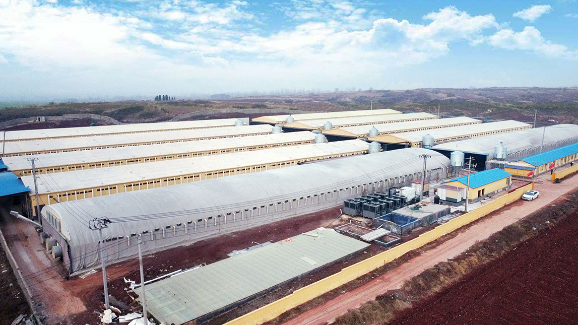 少妇出轨做爰高潮A片