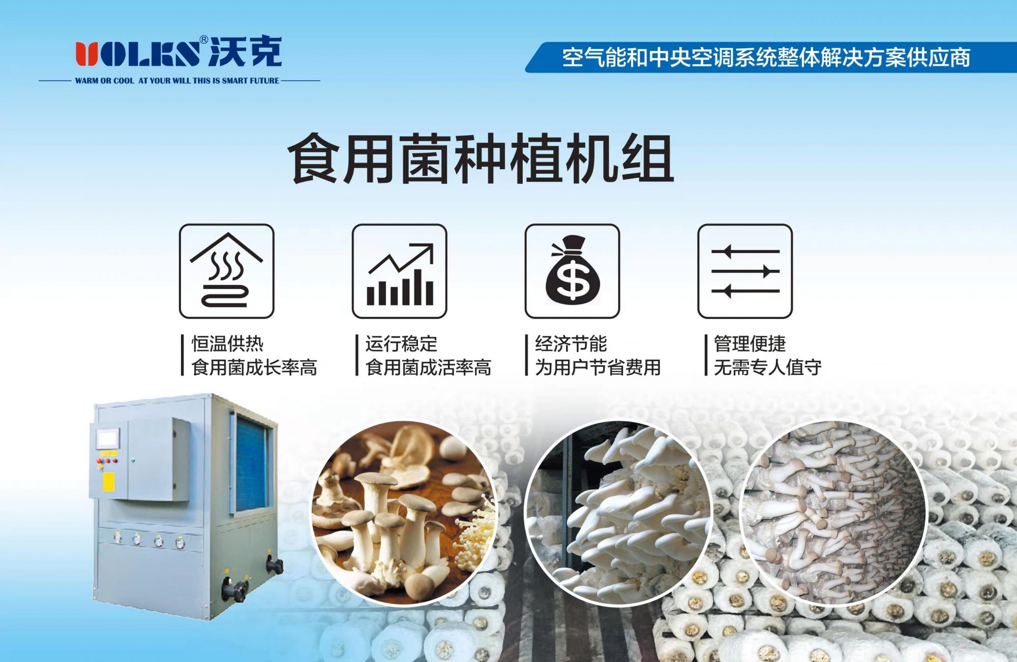 少妇出轨做爰高潮A片