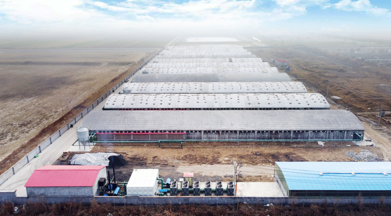 少妇出轨做爰高潮A片