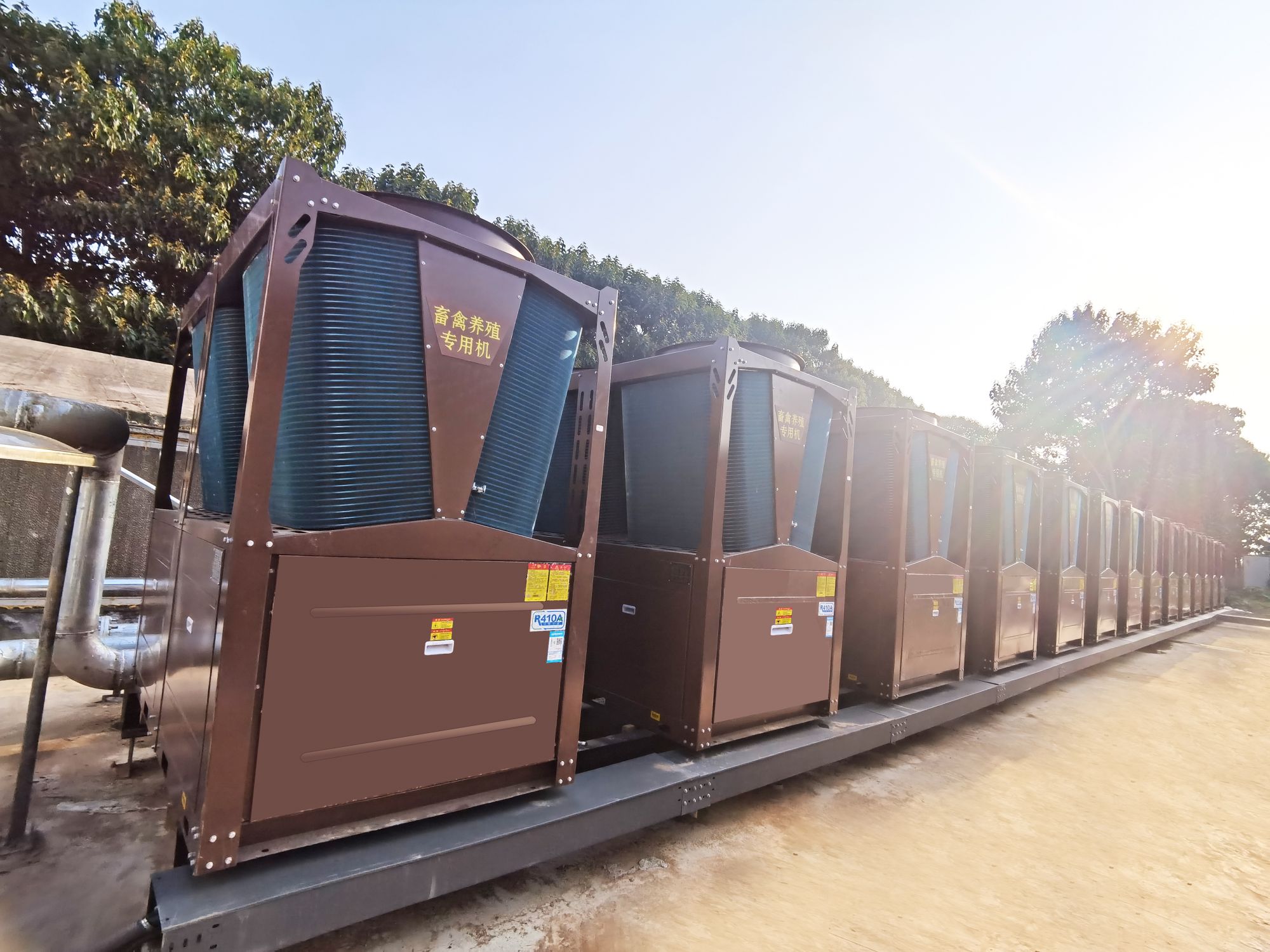 少妇出轨做爰高潮A片