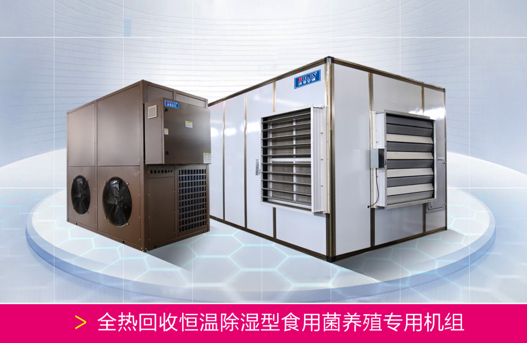 少妇出轨做爰高潮A片