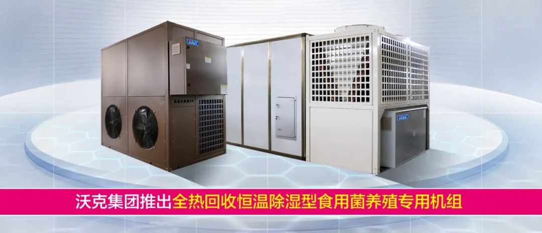 少妇出轨做爰高潮A片