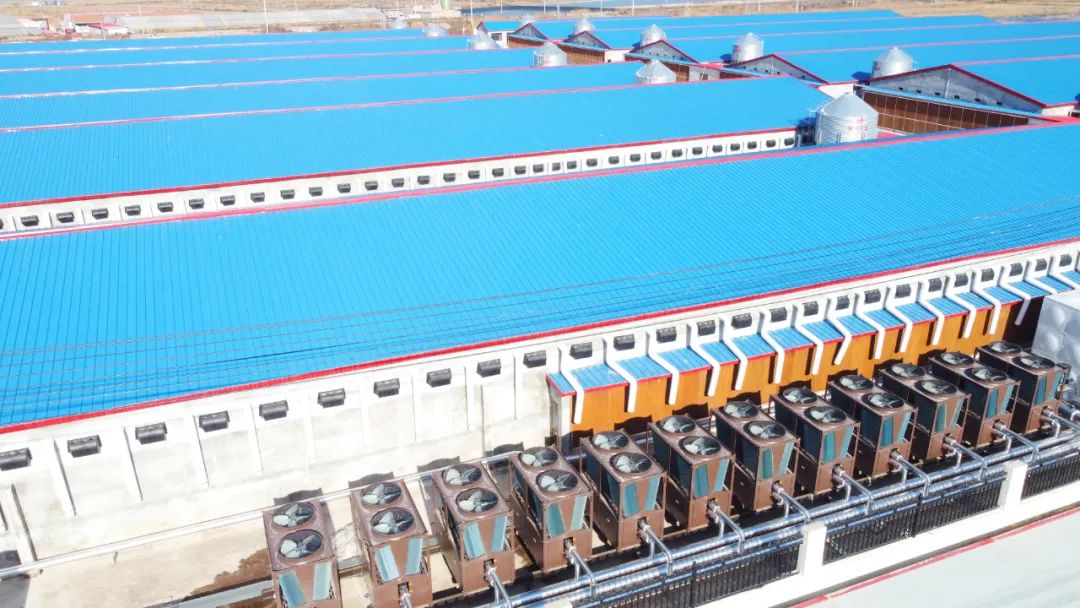 少妇出轨做爰高潮A片