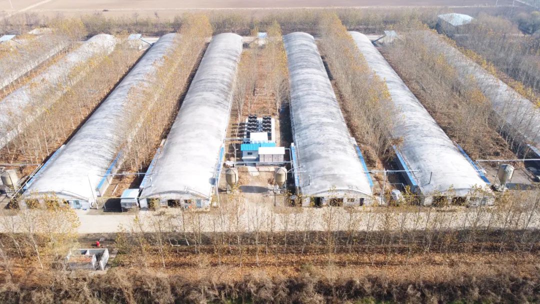 少妇出轨做爰高潮A片