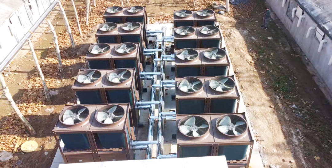 少妇出轨做爰高潮A片