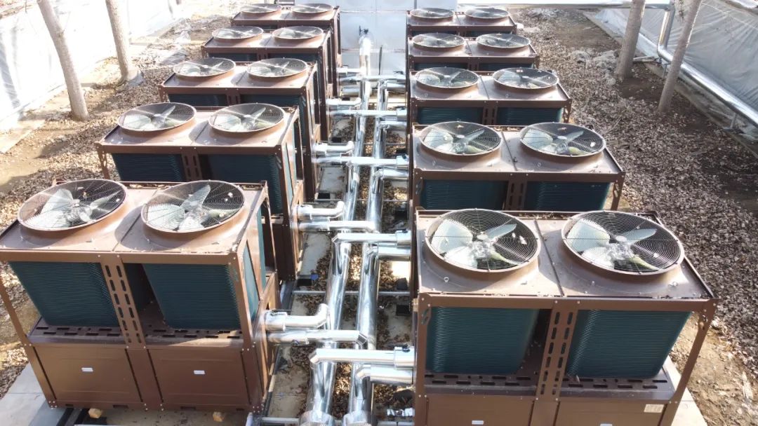 少妇出轨做爰高潮A片