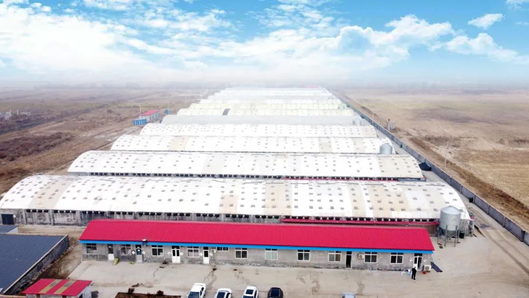 少妇出轨做爰高潮A片