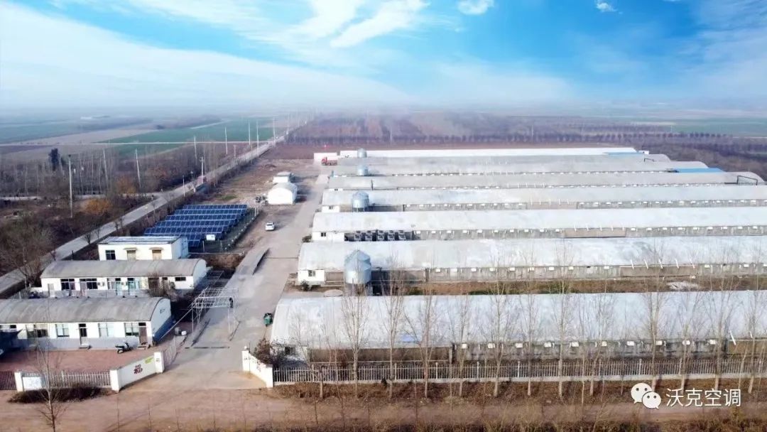 少妇出轨做爰高潮A片