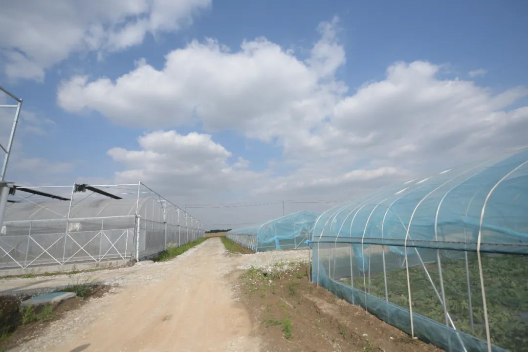 640 (1) 少妇出轨做爰高潮A片