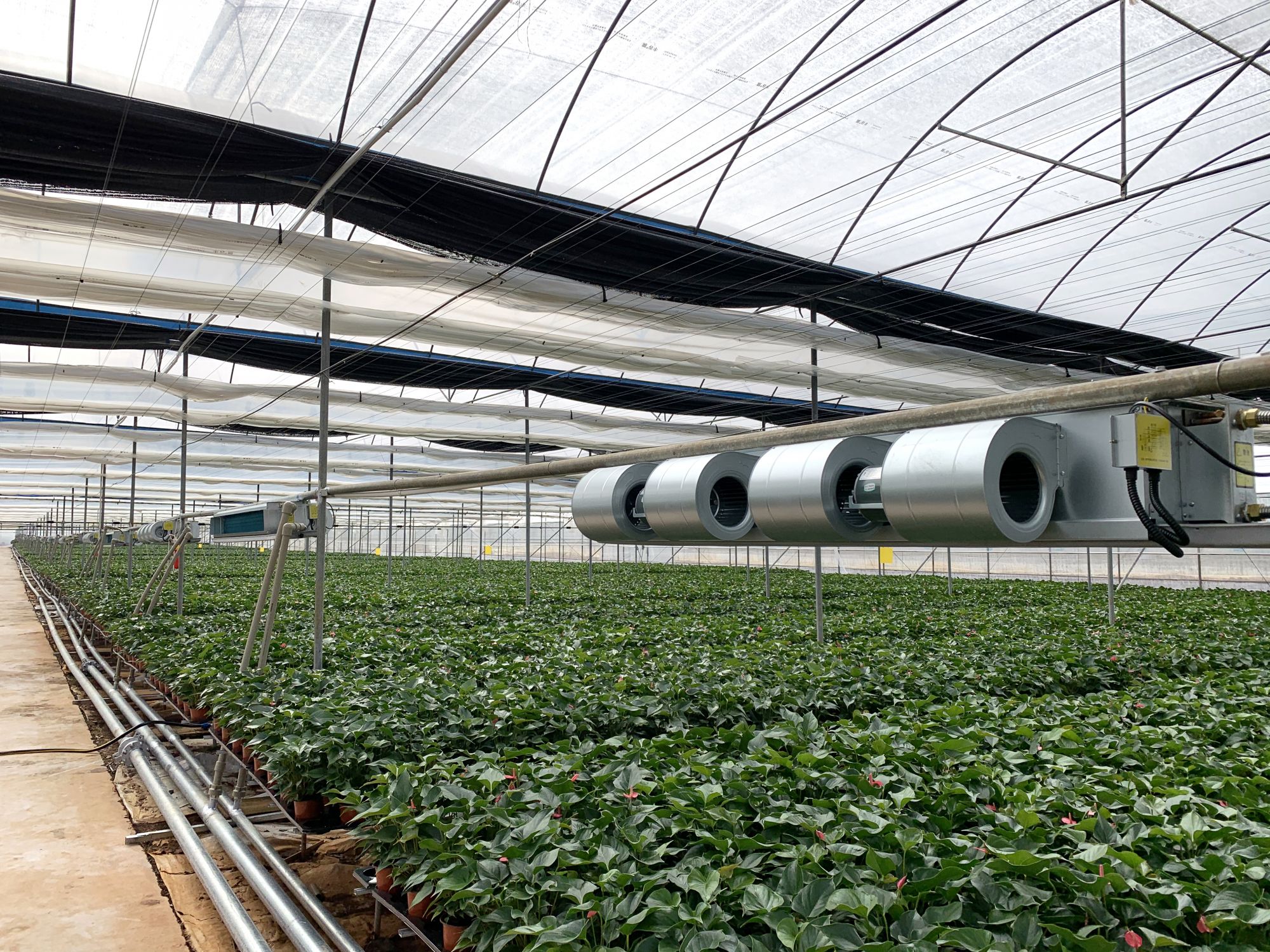 微信图片_20210317181529 少妇出轨做爰高潮A片