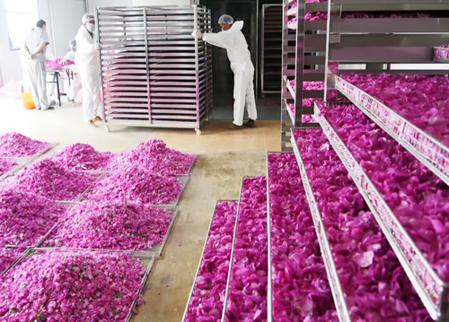 QQ浏览器截图20230802115935 少妇出轨做爰高潮A片