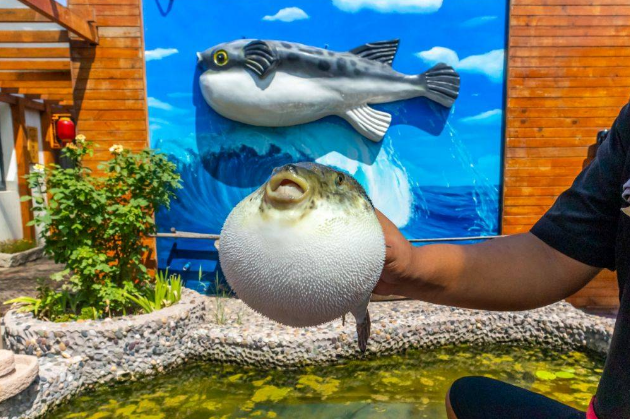 少妇出轨做爰高潮A片