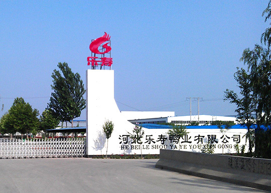 这家国家级农业产业化重点龙头企业采用沃克空调实现了生产效率和品质大提升！