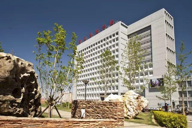 少妇出轨做爰高潮A片