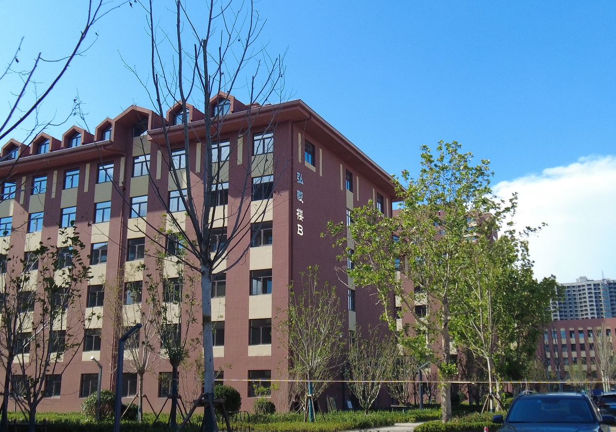 少妇出轨做爰高潮A片