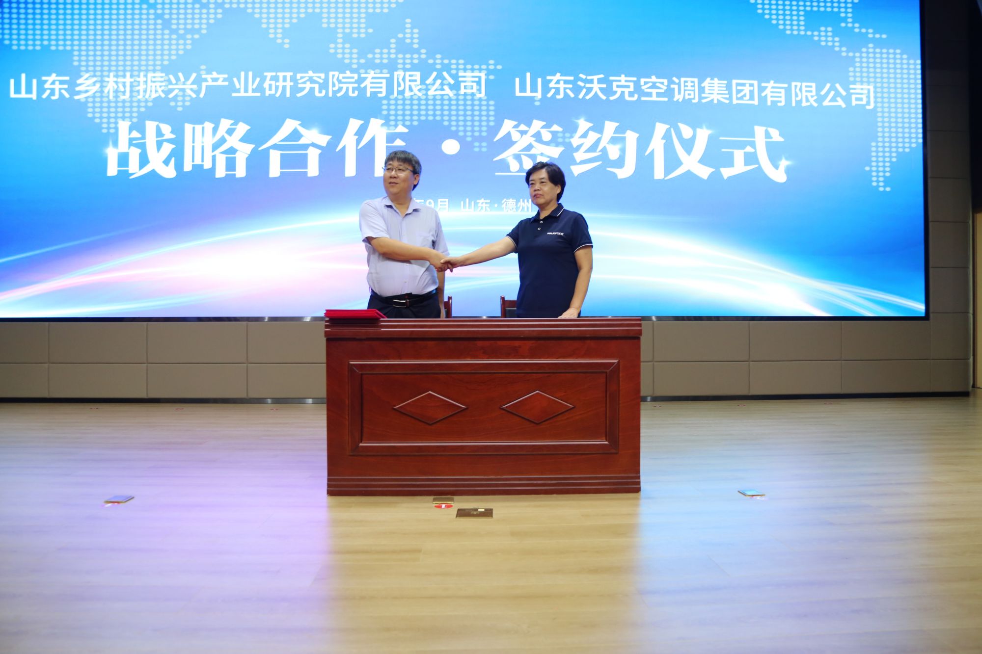 少妇出轨做爰高潮A片