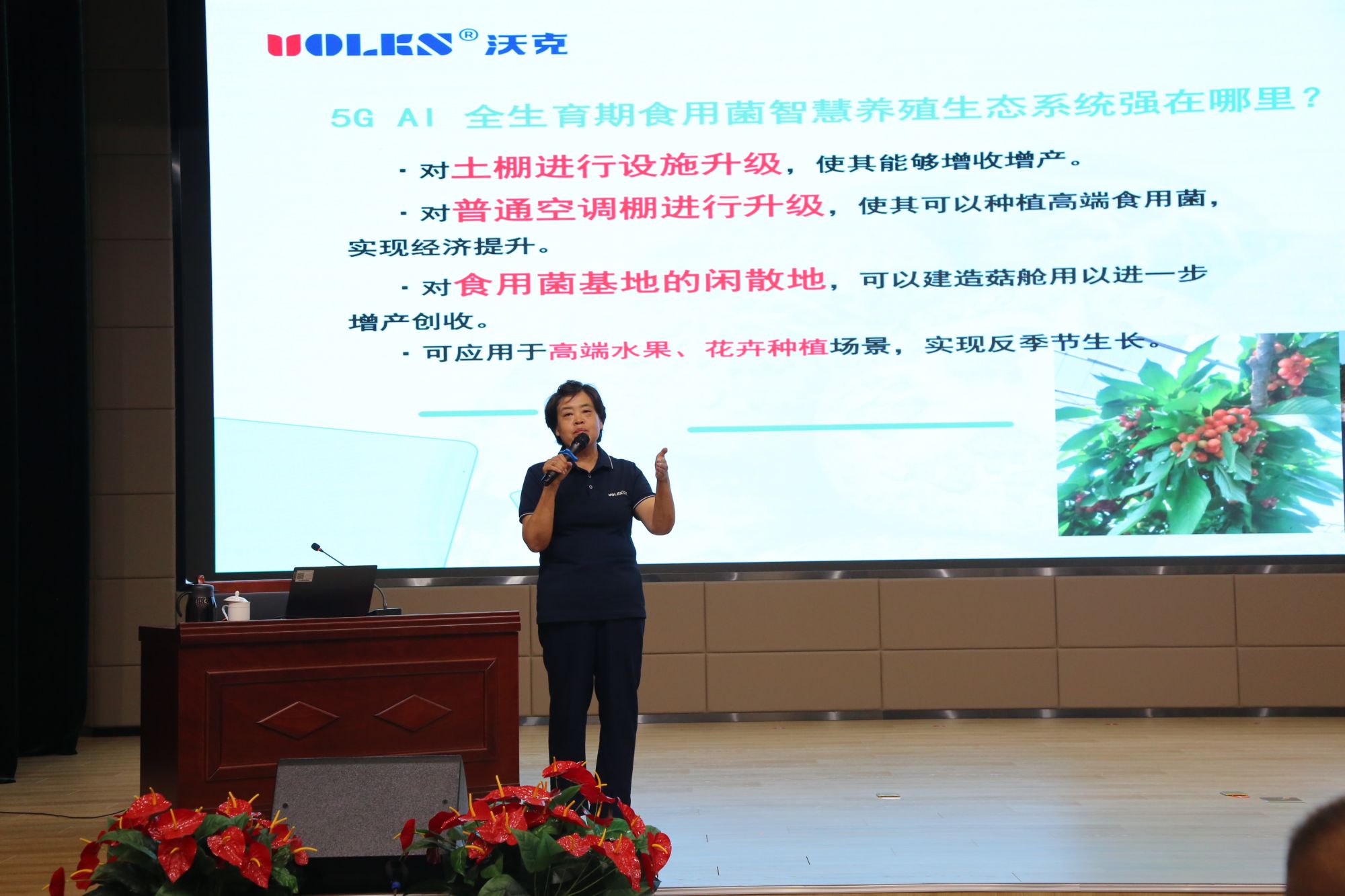 少妇出轨做爰高潮A片