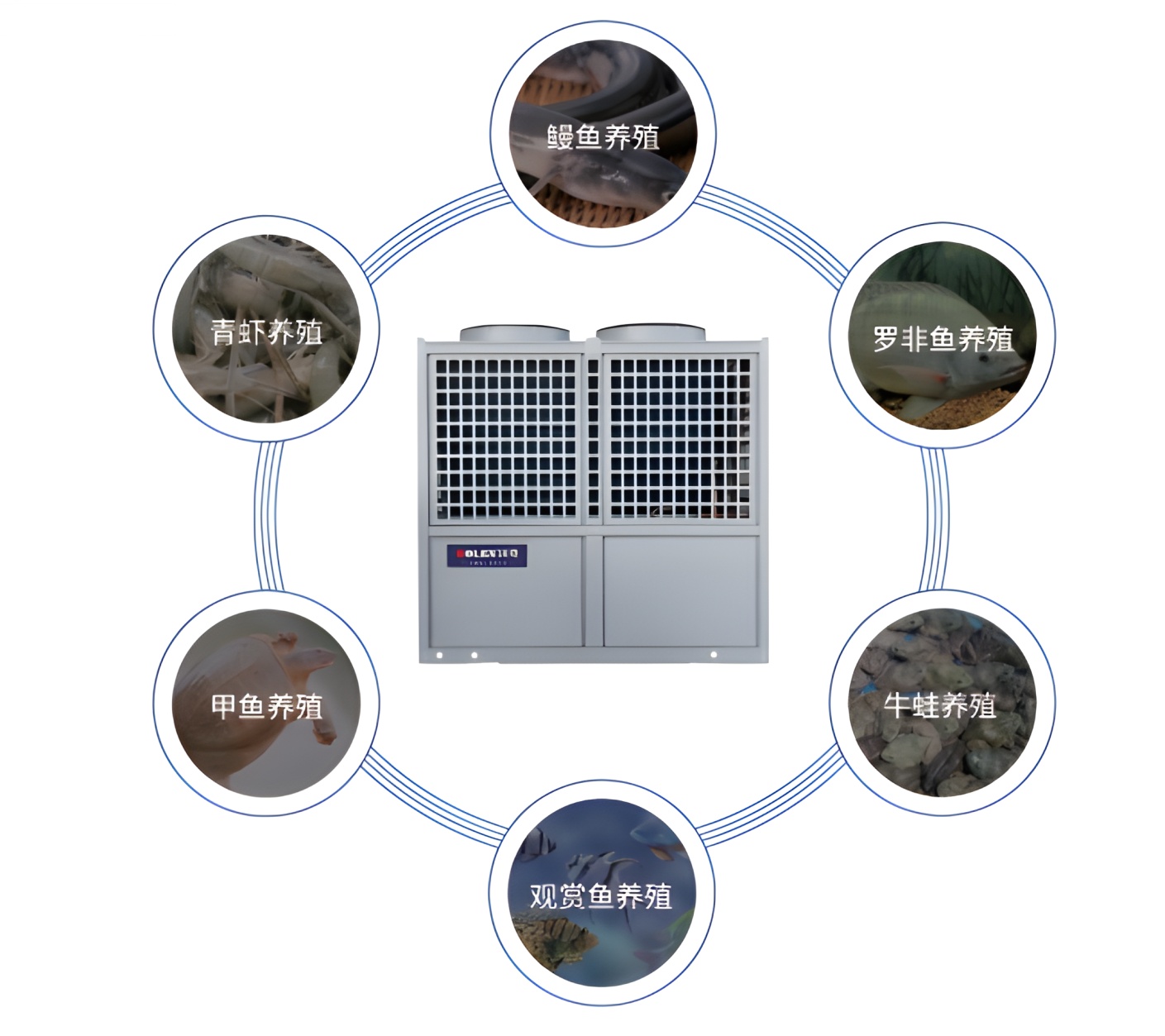 少妇出轨做爰高潮A片