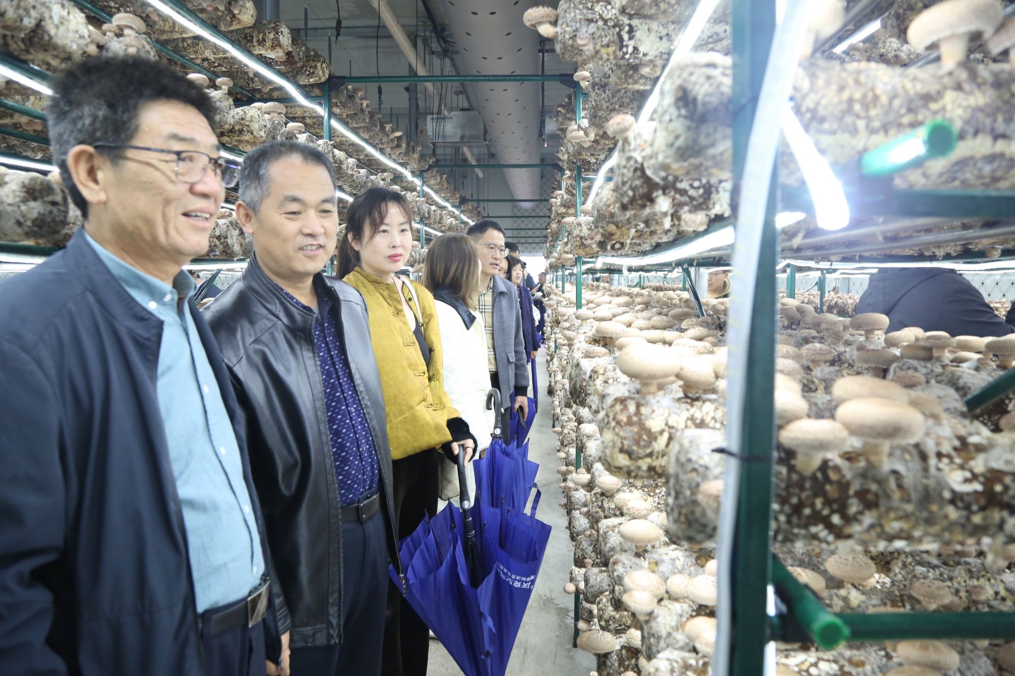 少妇出轨做爰高潮A片