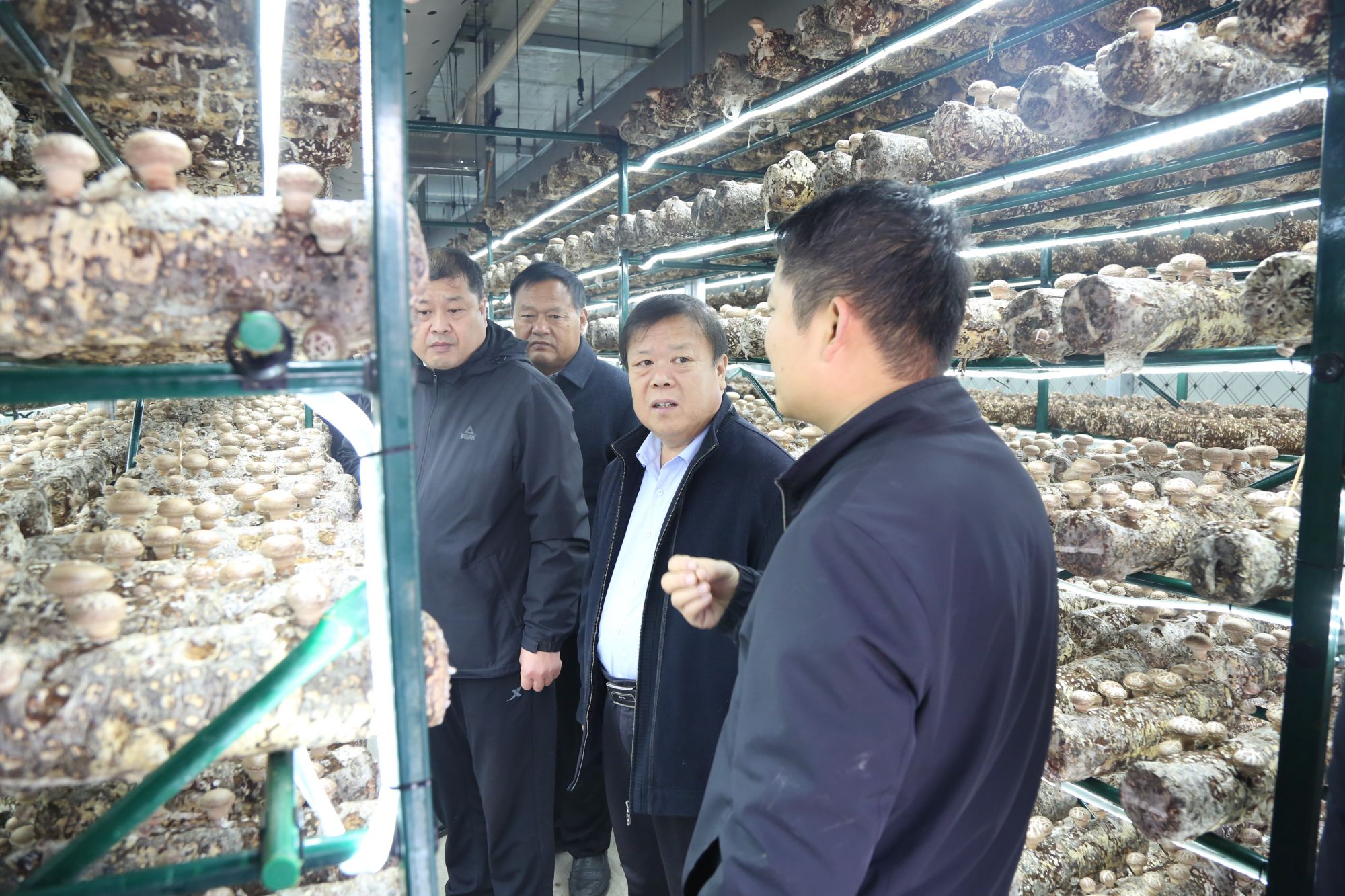 少妇出轨做爰高潮A片