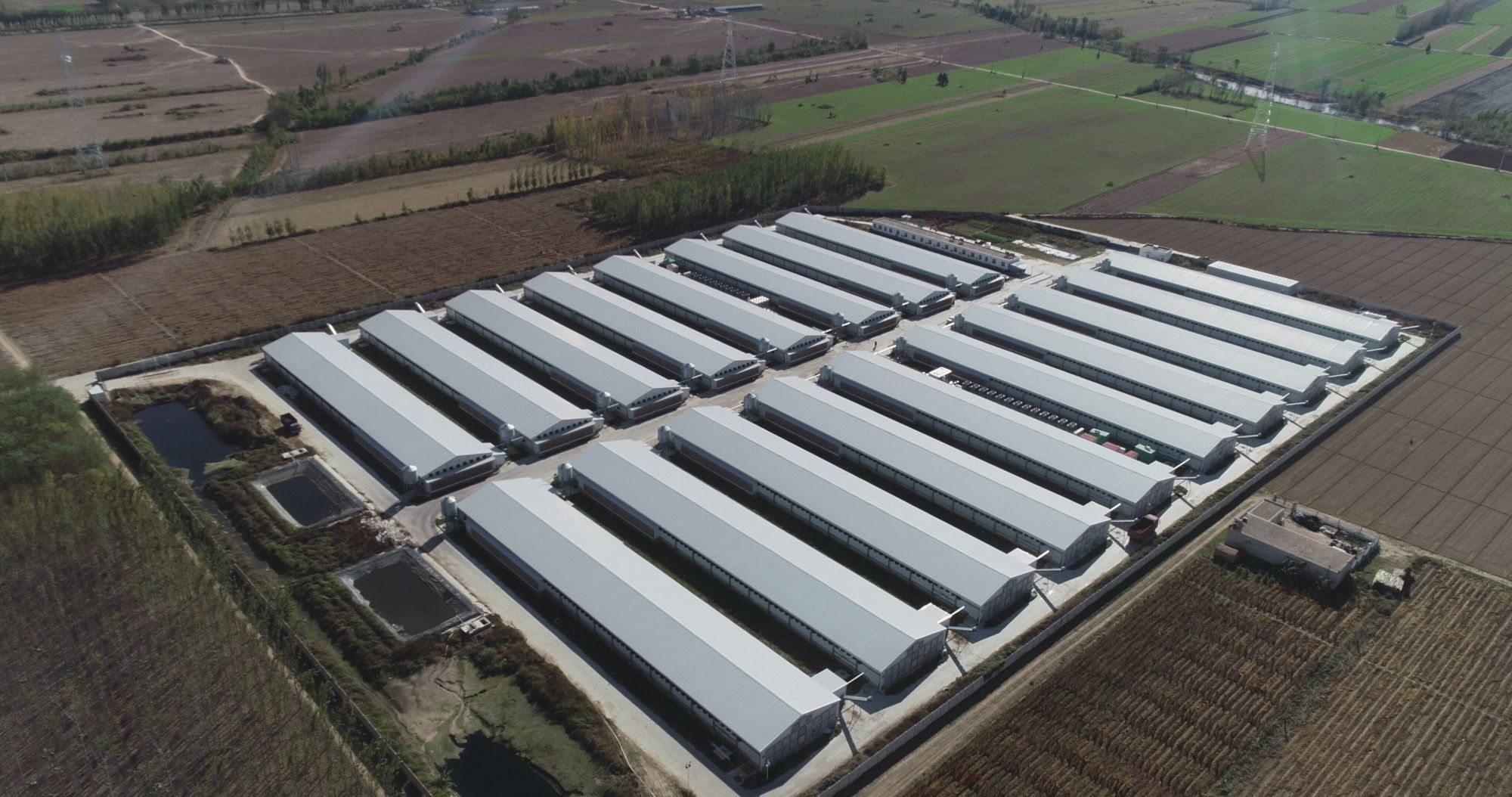 少妇出轨做爰高潮A片