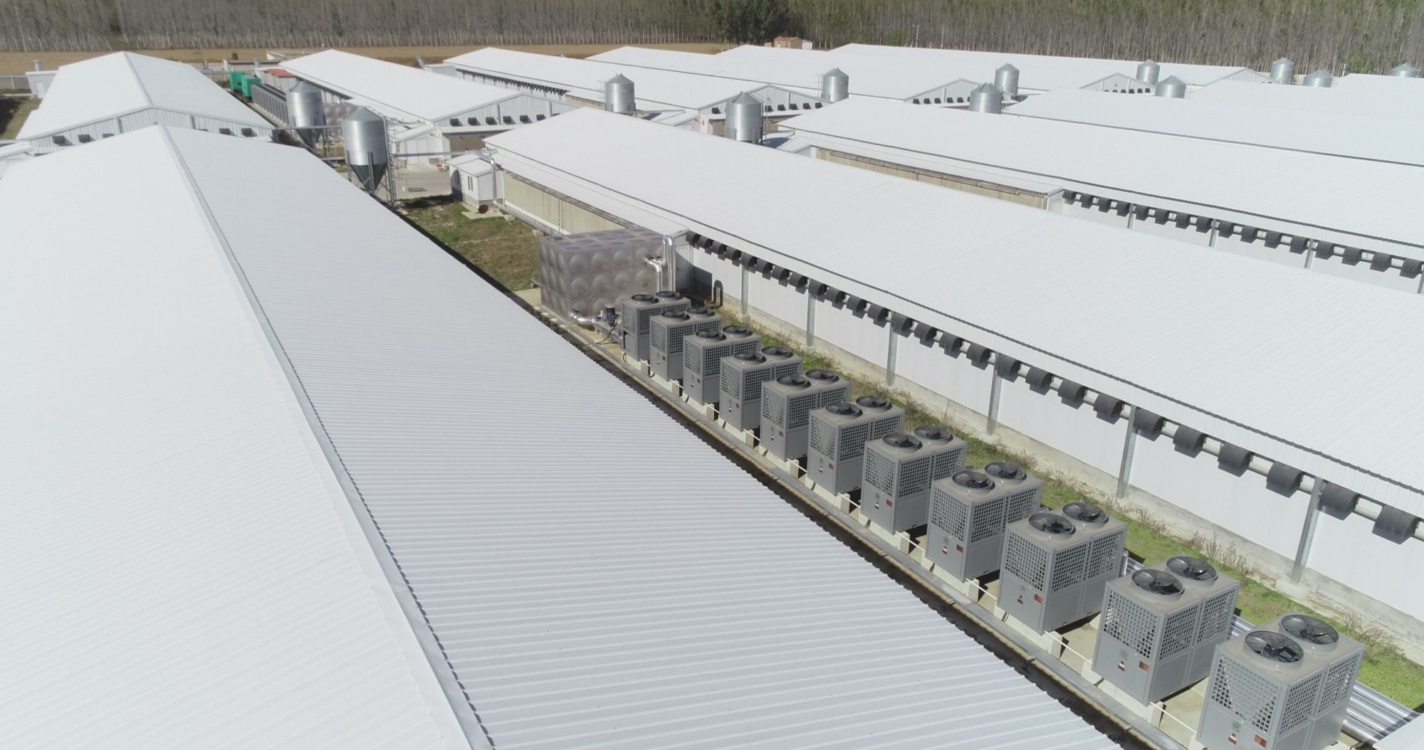 少妇出轨做爰高潮A片