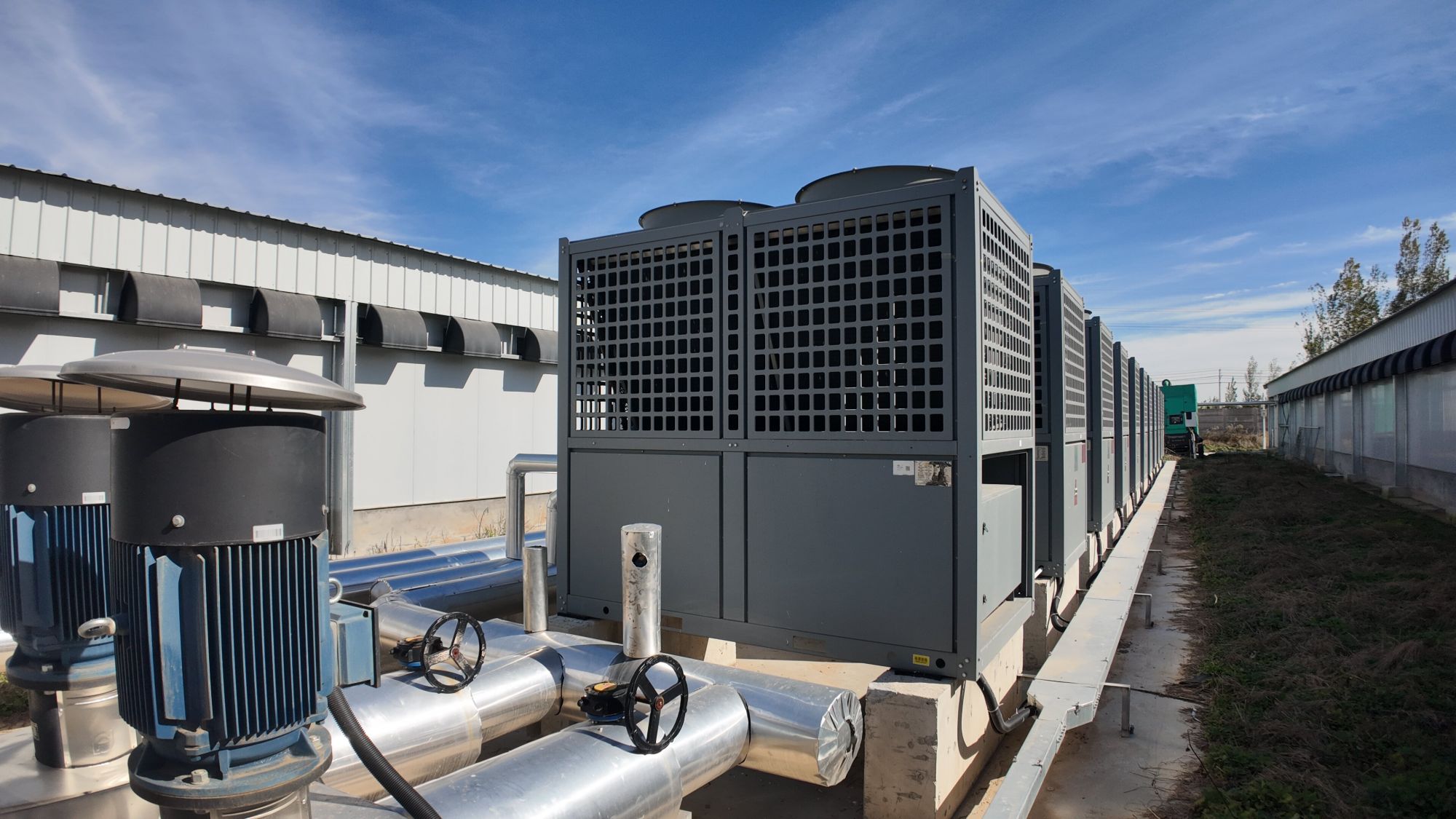 少妇出轨做爰高潮A片