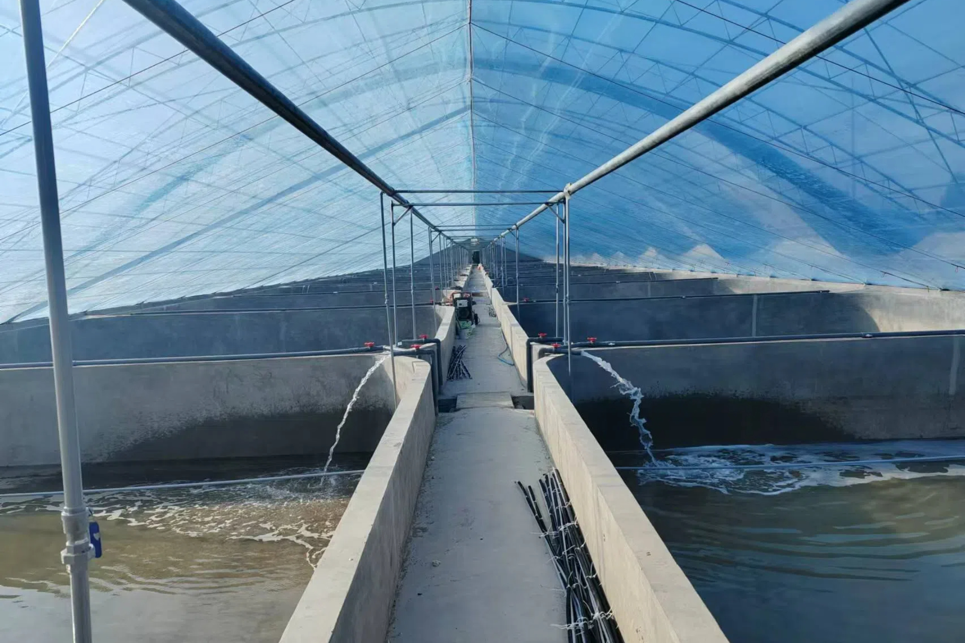 少妇出轨做爰高潮A片