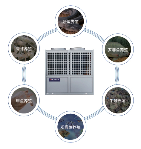 少妇出轨做爰高潮A片