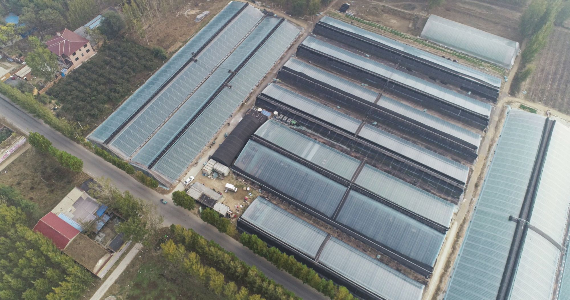 少妇出轨做爰高潮A片