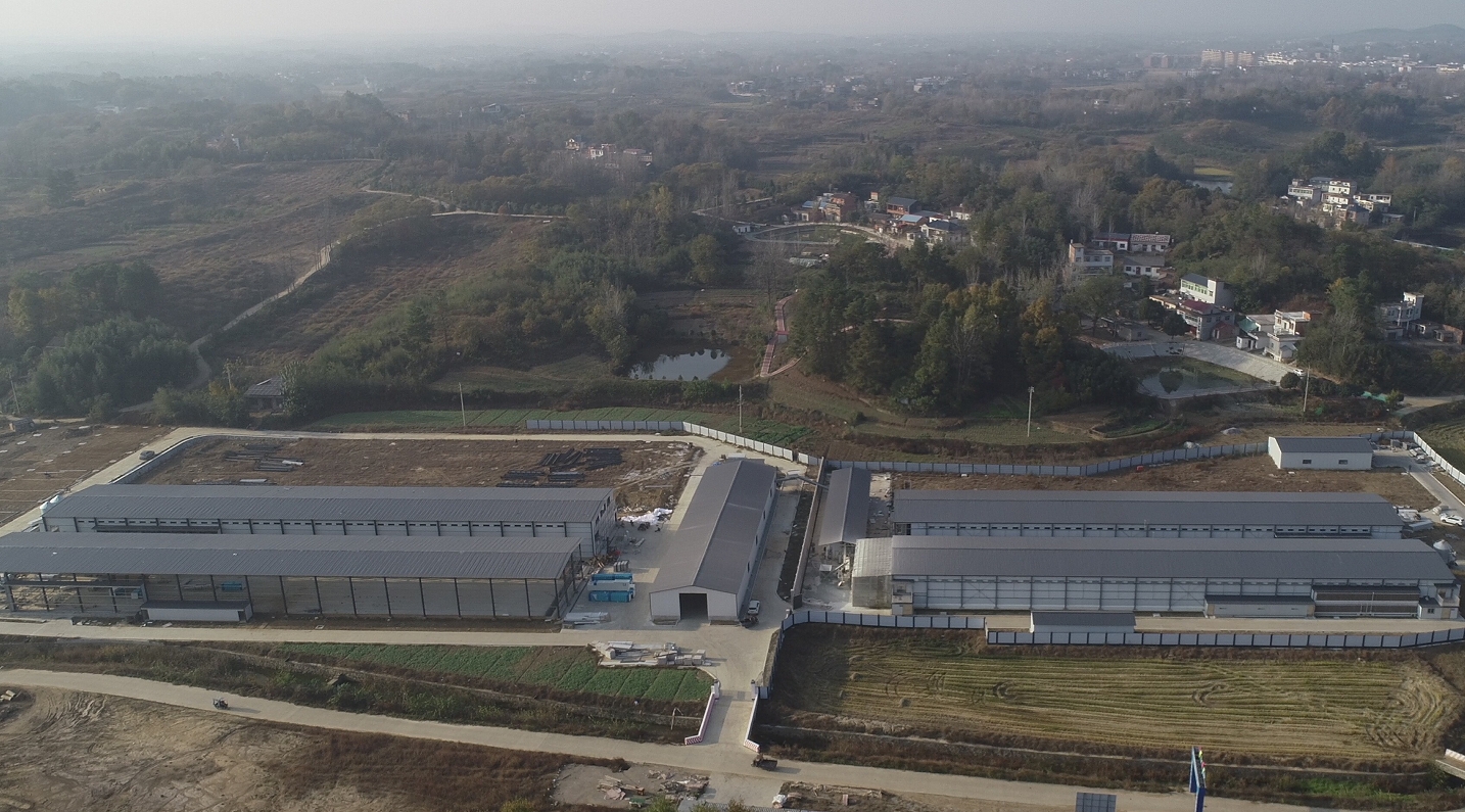 少妇出轨做爰高潮A片