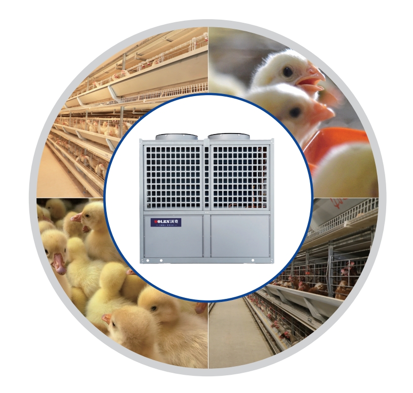 微信图片_20250303100336 少妇出轨做爰高潮A片