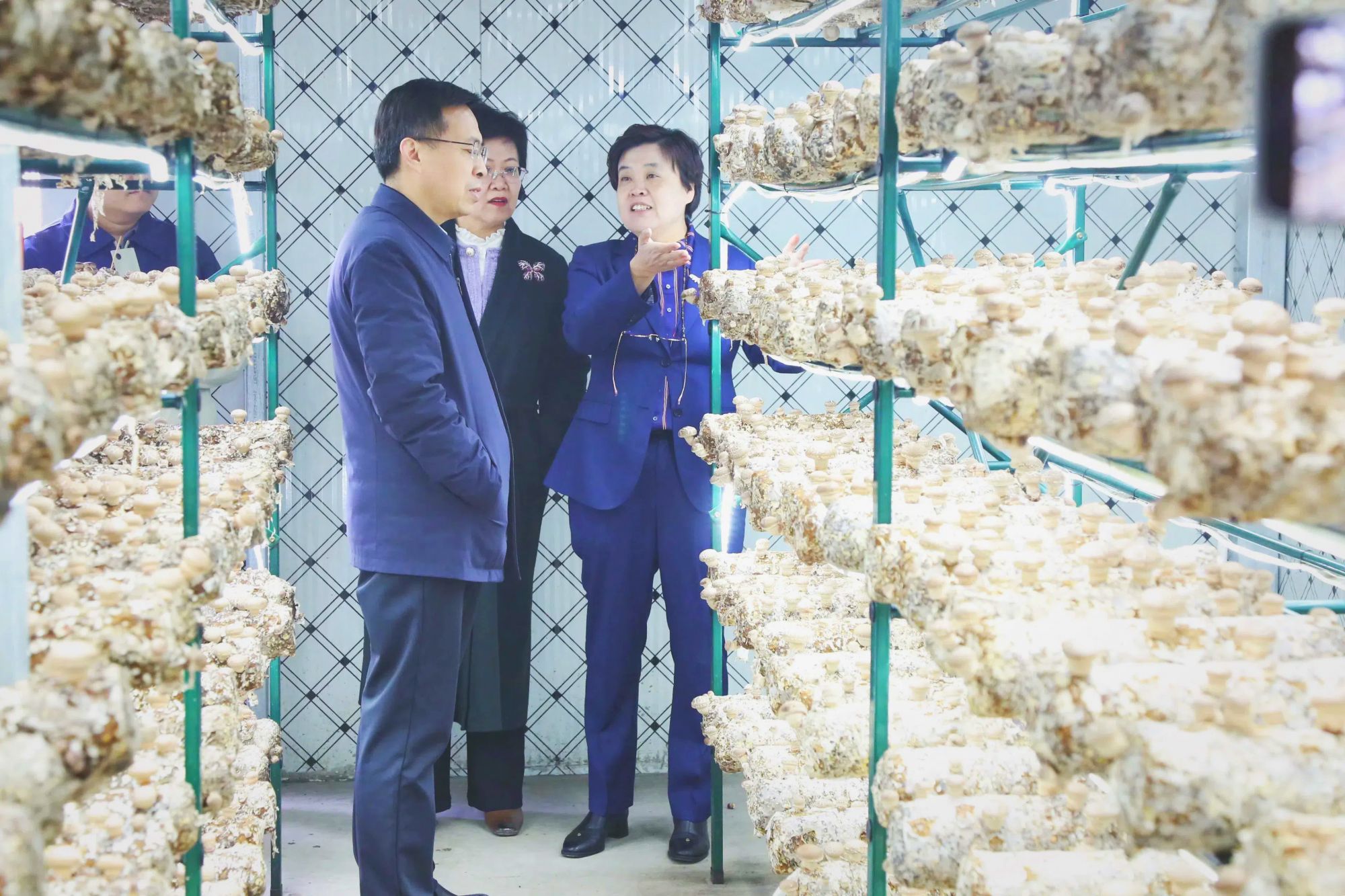 少妇出轨做爰高潮A片