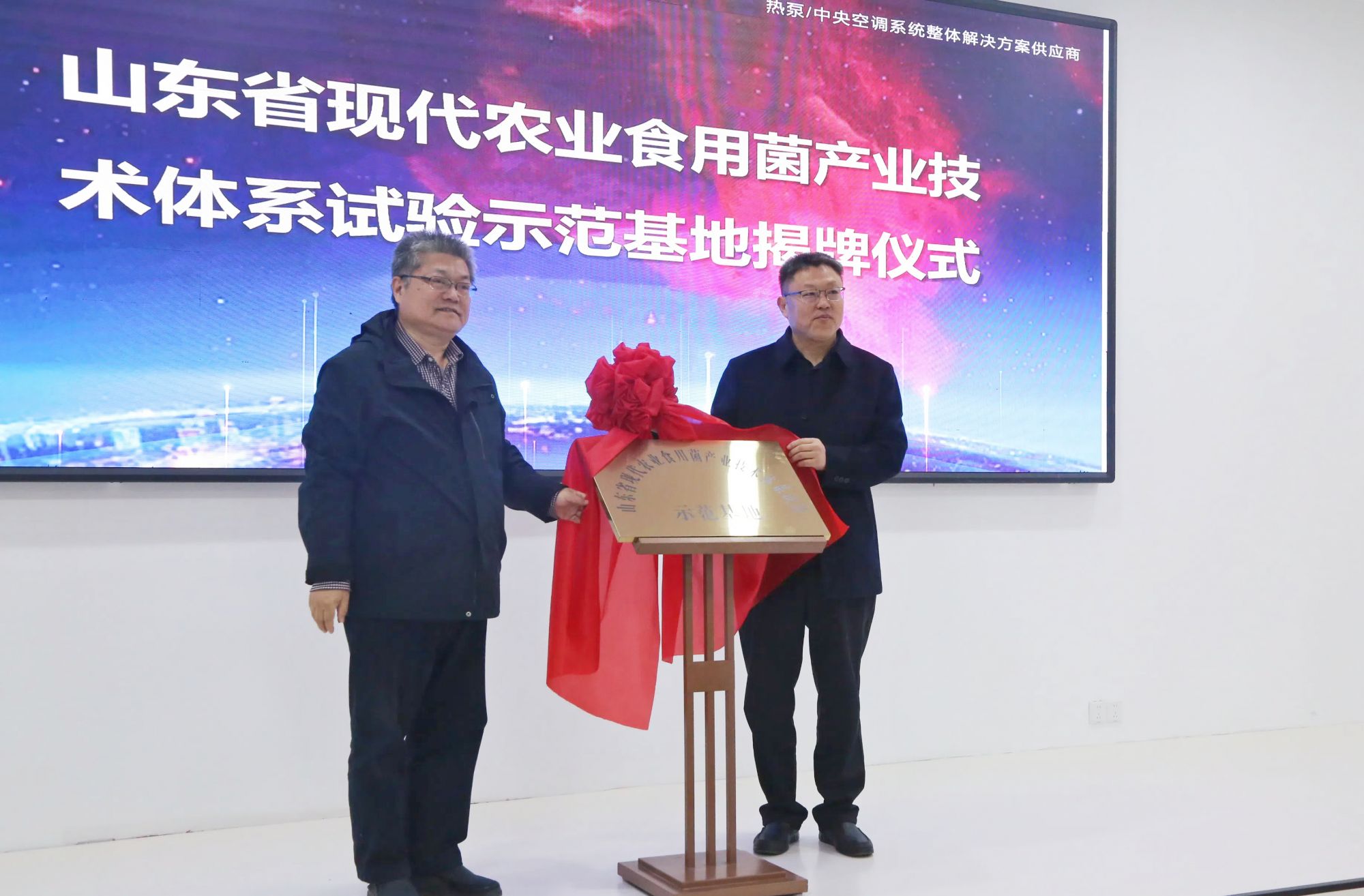 少妇出轨做爰高潮A片