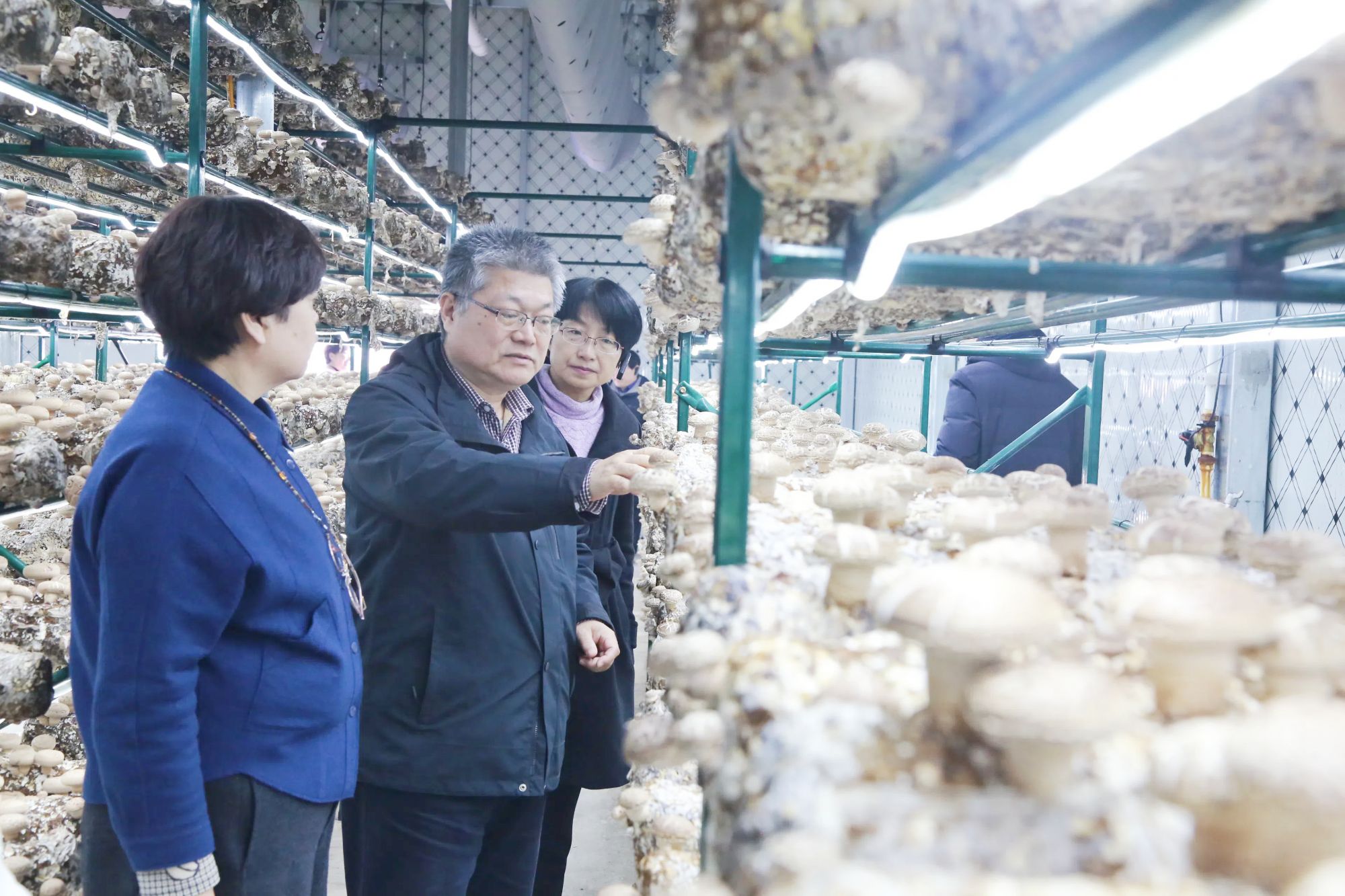 少妇出轨做爰高潮A片