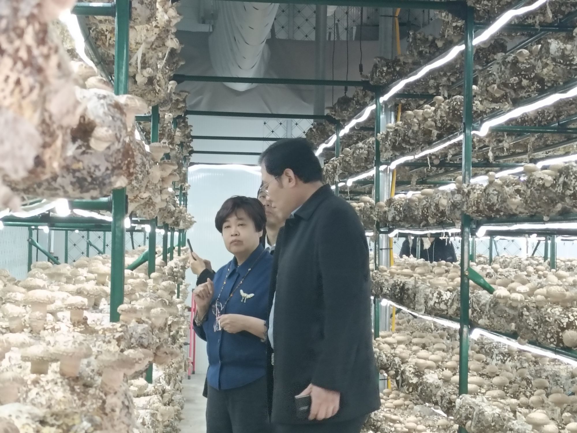 少妇出轨做爰高潮A片