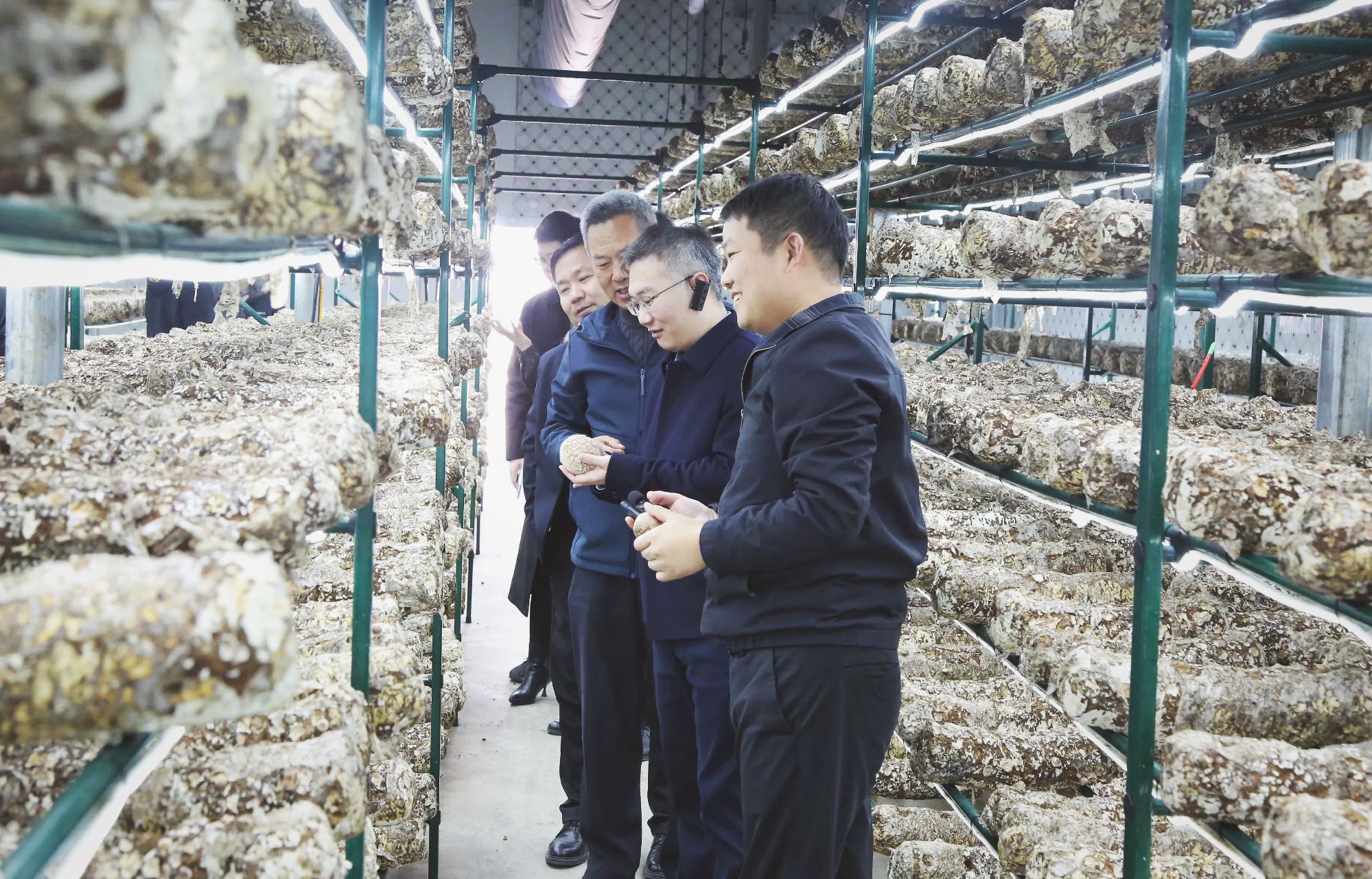 德州市德城区农业农村局领导考察沃克集团智慧菇舱系统