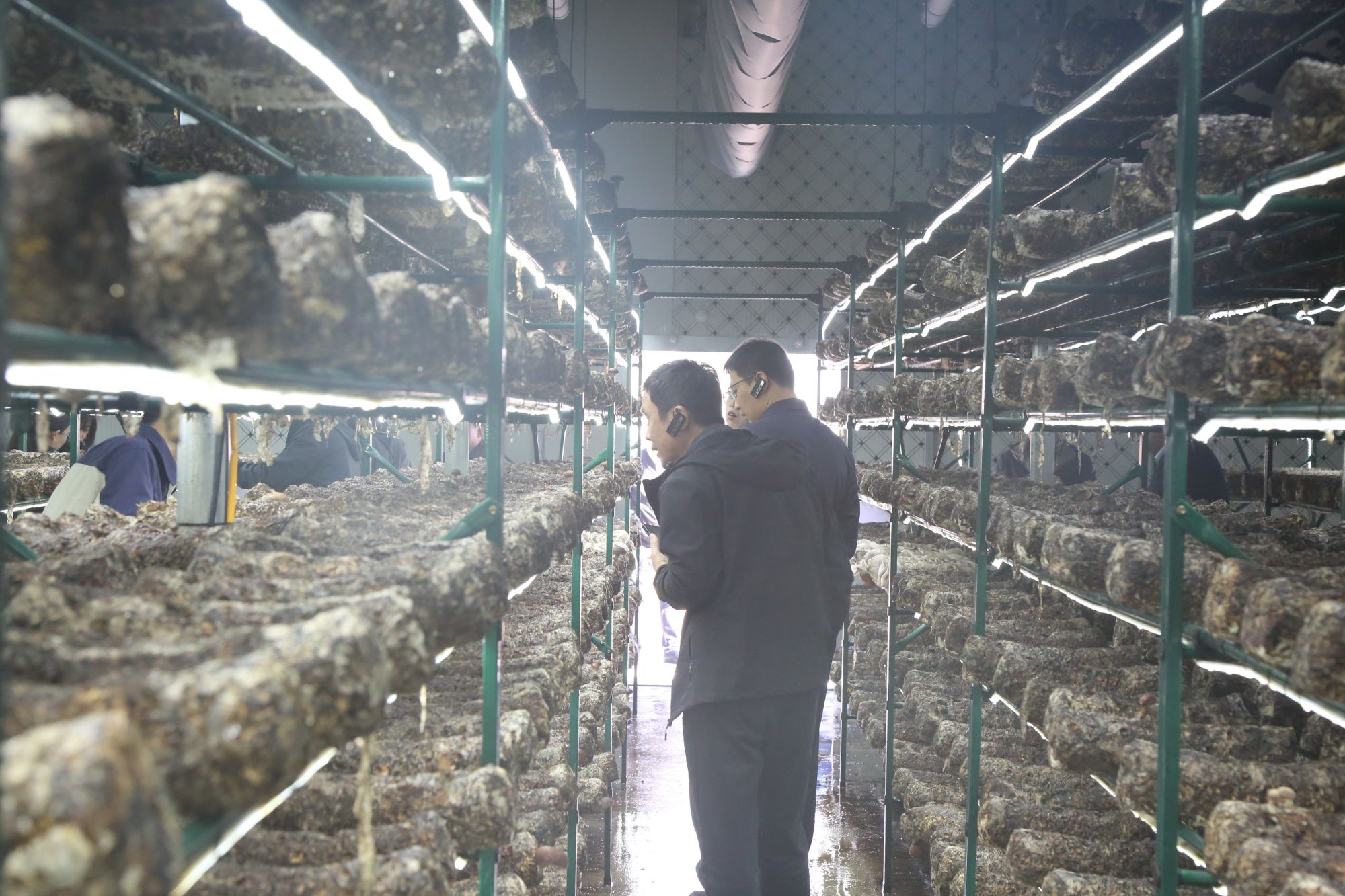 少妇出轨做爰高潮A片