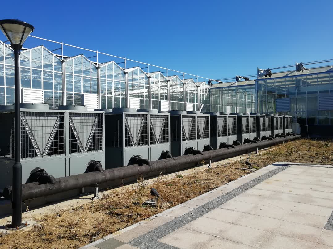 少妇出轨做爰高潮A片